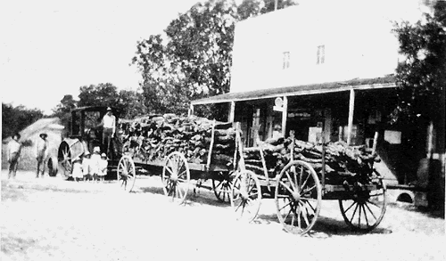 Warrenton,TX -  Ahlrich Store, 1900