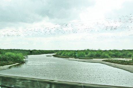 Los Olmos Creek , Texas,  crossing US Highway 77