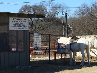 Bandera Texas Horses at the Mayan Dud Ranch