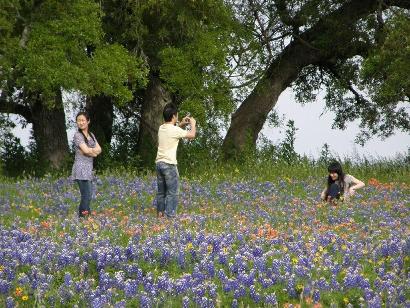 Independence TX Old Baylor Park Friends amid Wildflower