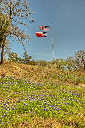 Montague County TX flags and bluebonnets