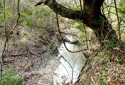 Washington County TX - Creek Off La Bahia