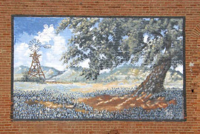 McLean TX Wall Mural -  Windmill & bluebonnets