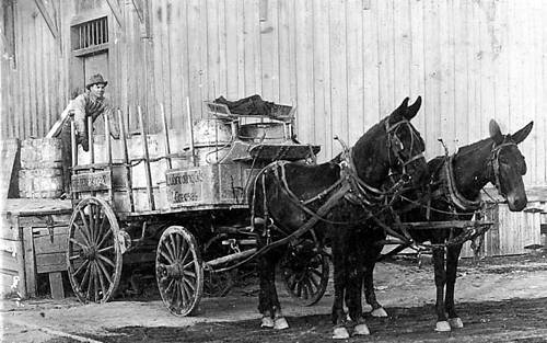 Humble Oil Mule Drawn Wagon and CK Brown , San Antonio Texas 1920s