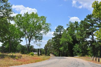 Coffeeville TX Road