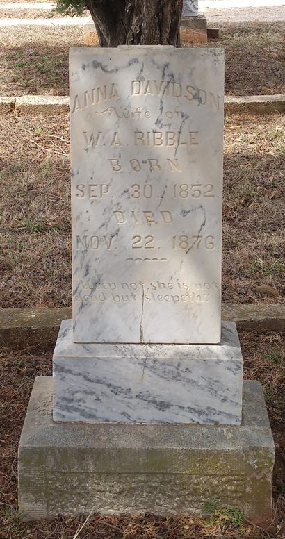 Young County TX - Gooseneck Cemetery , tombstone of Anna Davidson