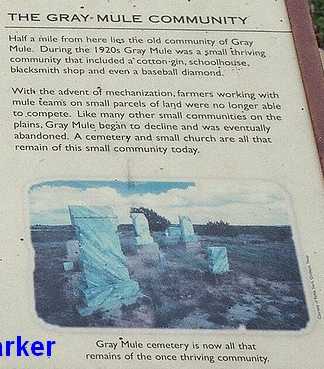 Gray Mule Historical Marker on Gray Mule Communty, Texas