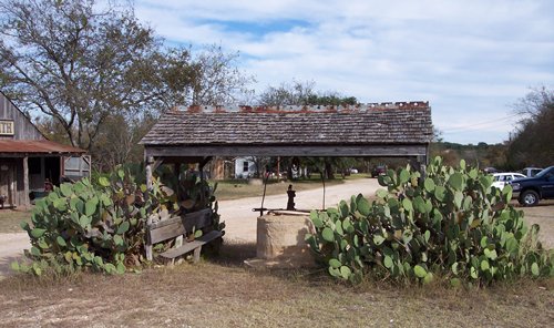 The Grove, Texas old well and cactus