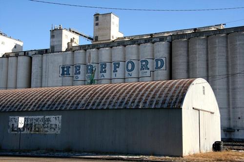 Hereford  Grain painted company sign on grain elevators, Hereford , Texas 