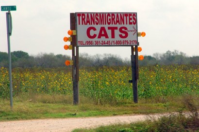Los Indios TX sign "Cats"