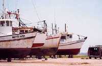 shrimp boats in Palacios Texas