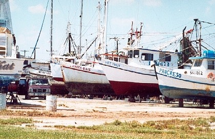 Port Lavaca  TX - shrimp boats
