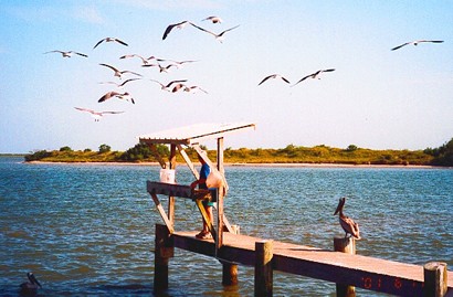 Sea gulls and pier in Matagorda Bay