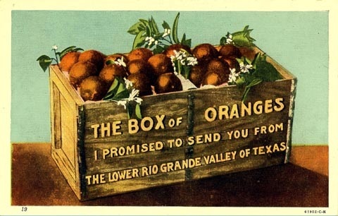 TX - Oranges from the Rio Grande Valley