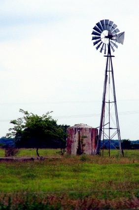 Weedhaven Texas windmill