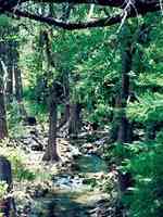Camp Verde Creek