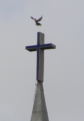 Knippa Texas - Bird over Emmanuel Lutheran Church