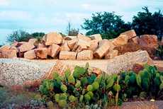 Granite and cactus