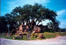 A roadside park near Marble Falls, Texas