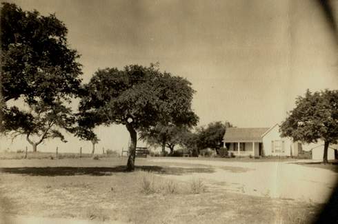 Texas homestead farm house with trees