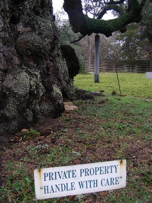 TX Famous Tree - Columbus Oak private property sign