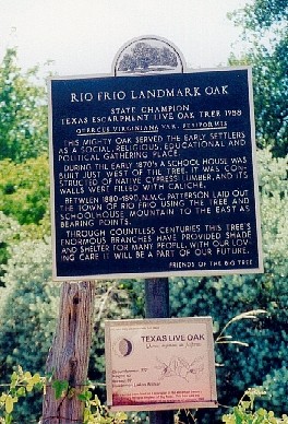 Rio Frio Landmark Oak historical marker