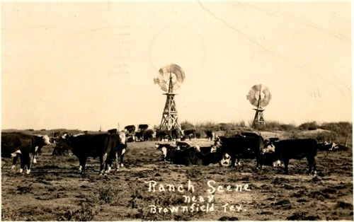 Brownfield TX - Ranch Scene