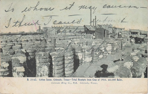 Colorado City TX - 1906 Cotton Scene