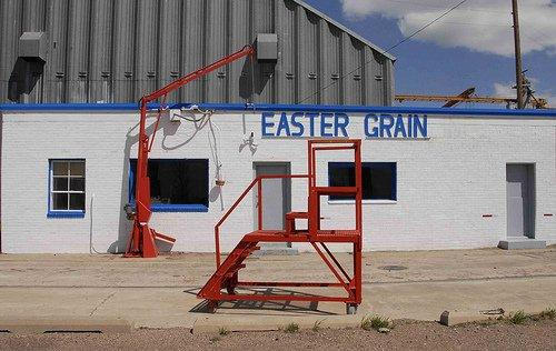 Castro County Easter TX Easter Grain