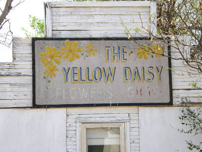 Jayton Tx Yellow Daisy Sign