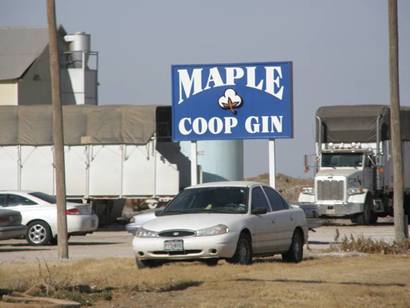 Maple Coop Gin sign, Maple Texas