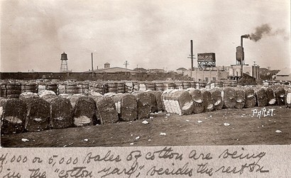 Sweetwater TX 1910 - Cotton Compress - Bales of cotton in the Cotton Yard
