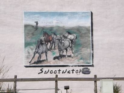 Sweetwater Tx -  Galloping Horses Wall Mural