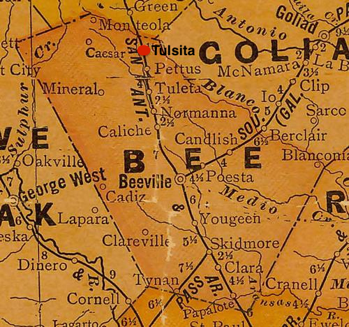 Bee County TX vintage map