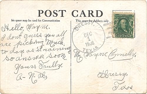 Dressy TX Callahan Co 1908 Postmark