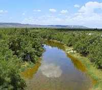 Pecos River south of McCamey