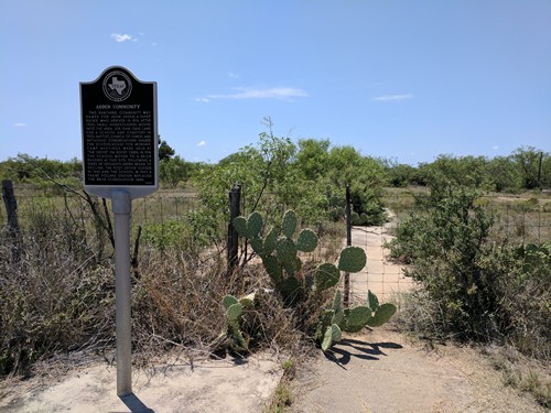 Arden TX historical marker & cactus
