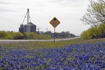 Baylor County, Red Springs, TX, Skyline with Bluebonnets