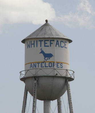 Whiteface Texas "Antelopes" water tower
