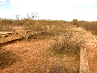 Williams High School Tx Foundations