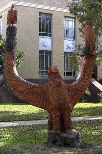 Gillespie County Courthouse  eagle sculped from tree