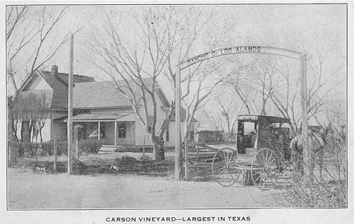 Barstow TX - Carson Vineyard
