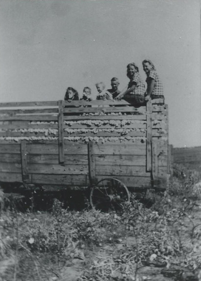 Seymour TX 1943 - Children On Cotton Wagon