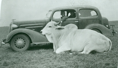 Hungerford, Texas - Walter Hudgins, new automobile, Brahman bull
