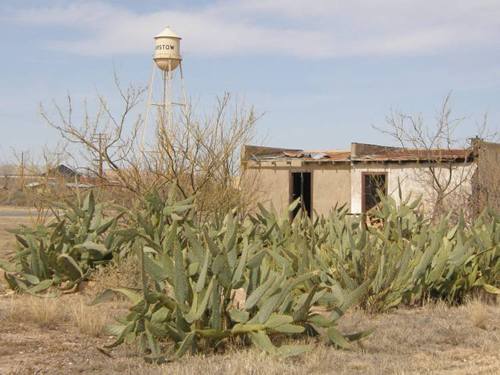 Barstow Tx - watertower and cactus
