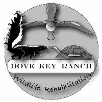 Dove Key Ranch Wildlife Rehabilitation  logo
